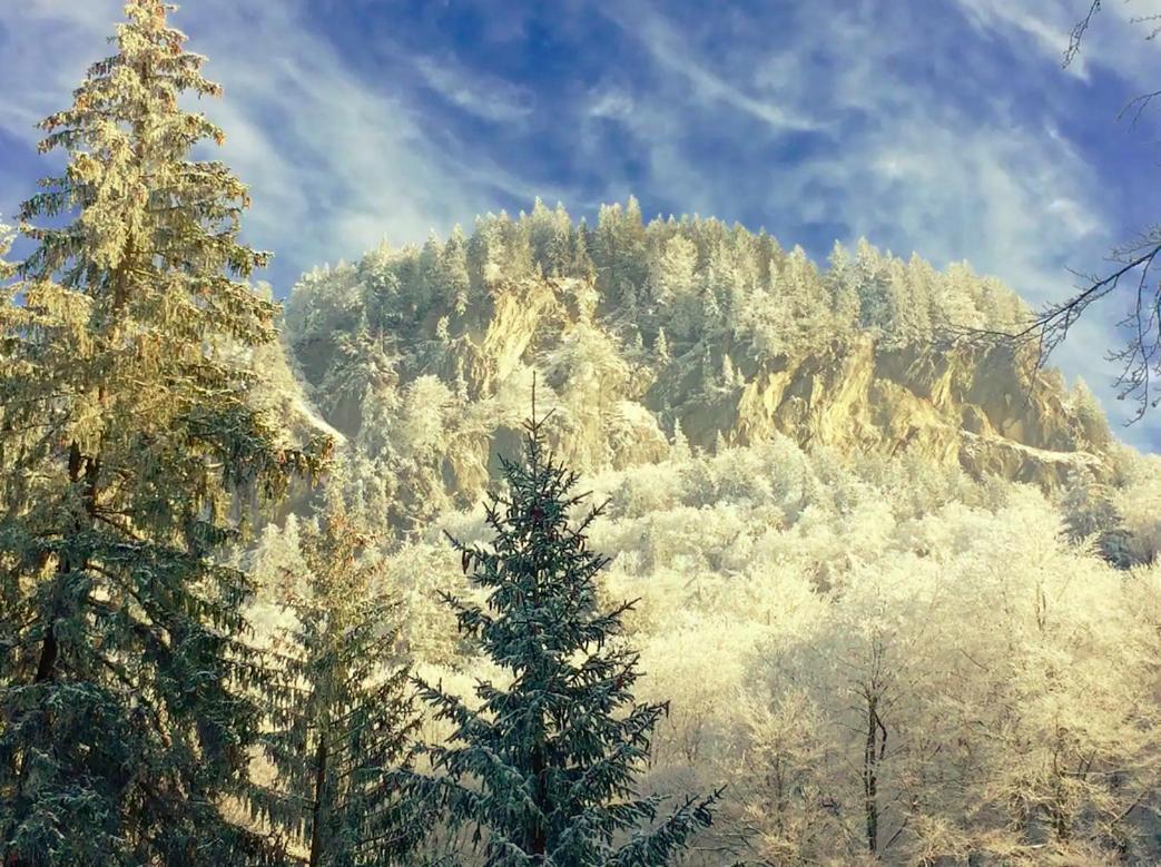 Kunst- Und Naturfreundehaus Bruenig Lungern Εξωτερικό φωτογραφία