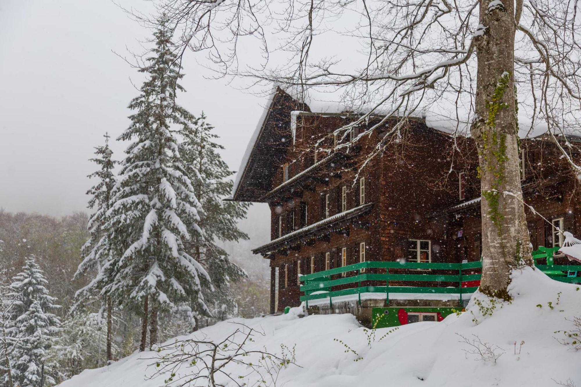 Kunst- Und Naturfreundehaus Bruenig Lungern Εξωτερικό φωτογραφία