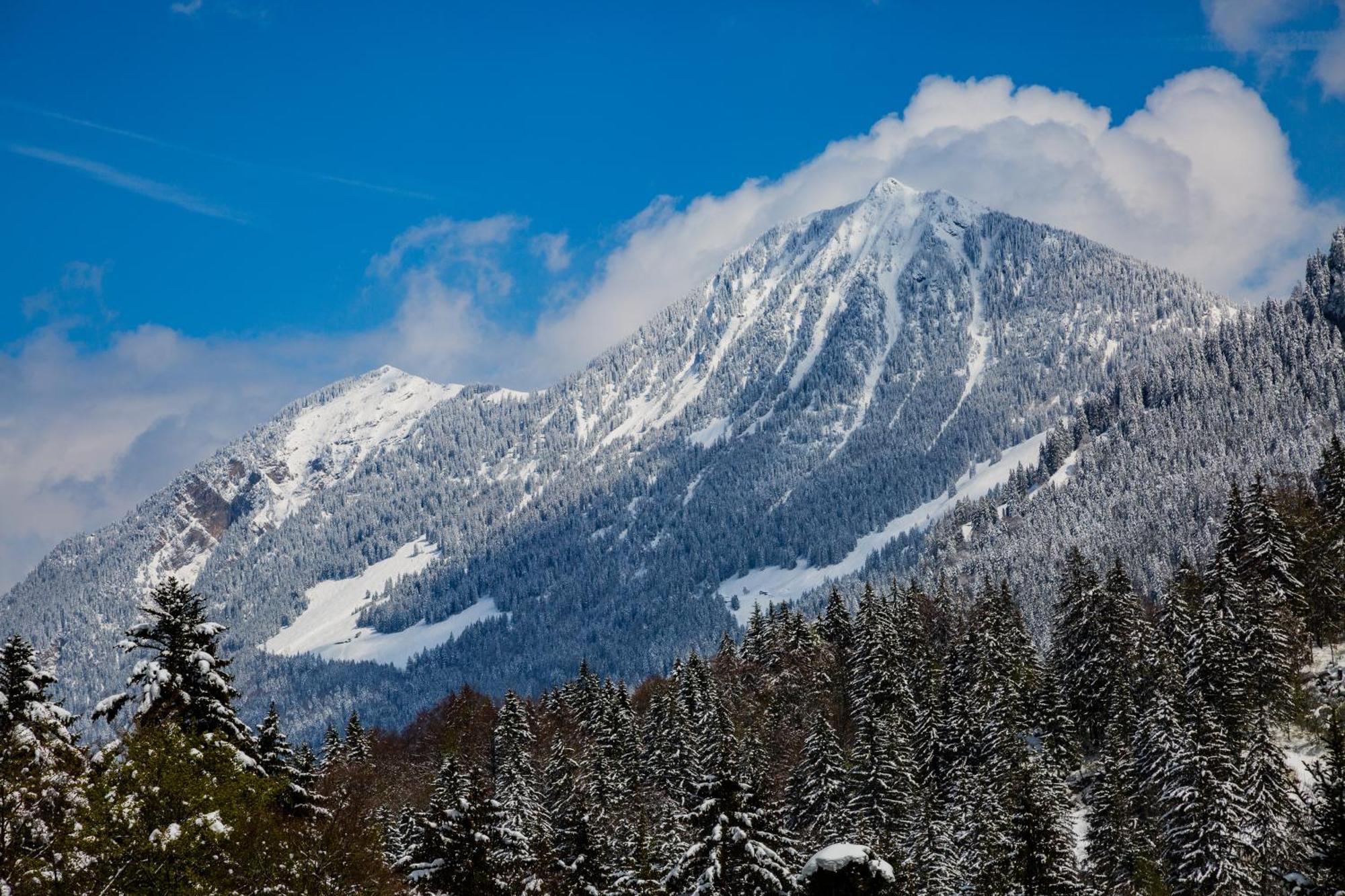 Kunst- Und Naturfreundehaus Bruenig Lungern Εξωτερικό φωτογραφία